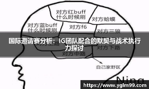 VSport胜利因您更精彩