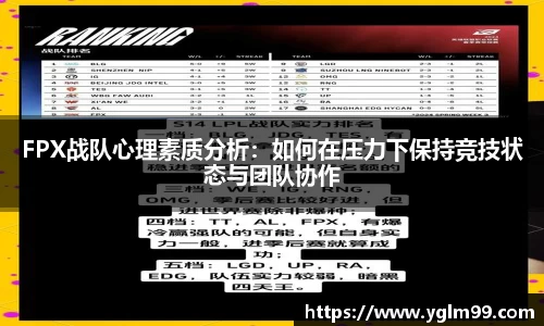 VSport胜利因您更精彩
