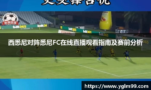 VSport胜利因您更精彩